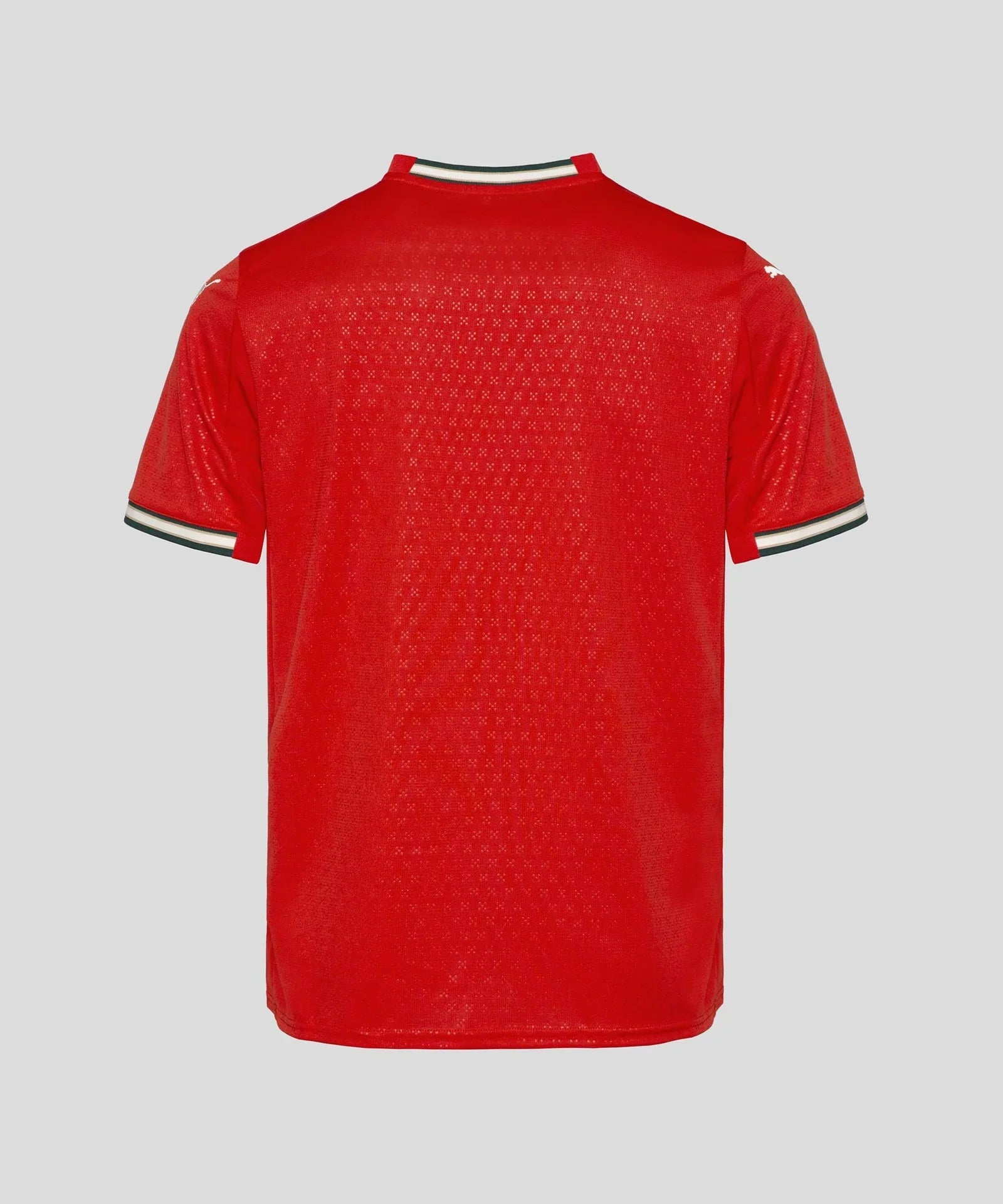 2025/2026 Portugal Home Shirt